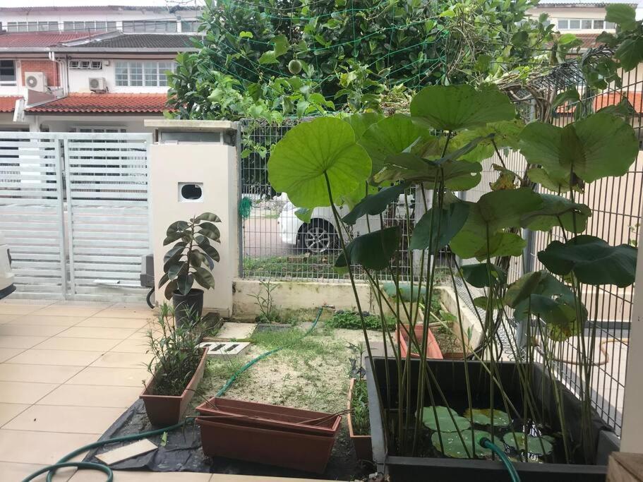 Terrace House Near Stulang Laut Ciq Midvalley Ksl For 7Pax Джохор-Бару Екстер'єр фото